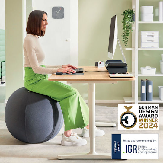 Leitz Ergo 75cm Dark Grey Exercise Sitting Ball 65430089 - Image 2