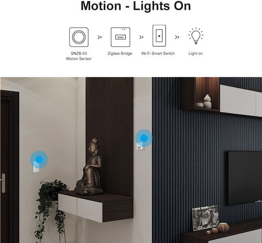 Sonoff ZB Bridge- P Smart Bridge Wi-Fi / Zigbee Συμβατό με Google Home, Alexa & SmartThings - Image 11