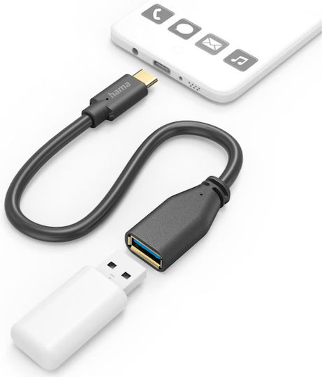 HAMA Μετατροπέας USB-A / USB-C male σε USB-A / USB-C female 1τμχ 00201605 - Image 3