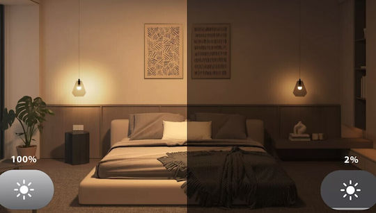 Philips Smart Λάμπα LED 8W για Ντουί E27 και Σχήμα A60 Θερμό Λευκό 806lm 929004235401 - Image 5