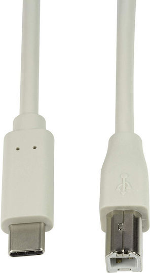 LogiLink USB 2.0 Cable USB-C male - USB-B Λευκό 2m CU0161 - Image 5