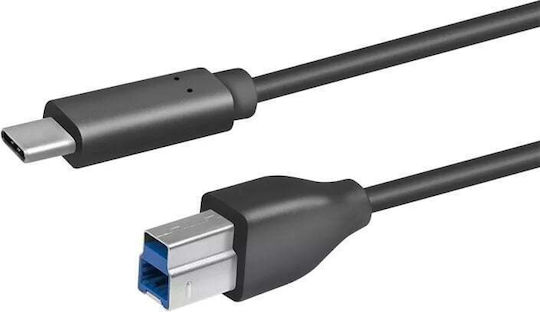 LogiLink USB 2.0 Cable USB-C male - USB-B Μαύρο 2m CU0163 - Image 4