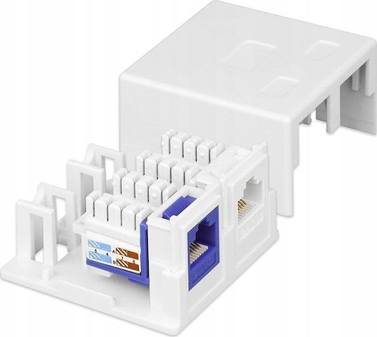 Techly Keystone 2τμχ (366310) - Image 2