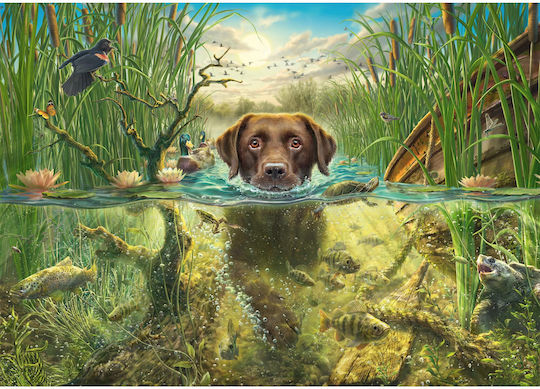 Fredrickson: Brown Labrador In Cool Water Puzzle 2D 1000pcs - Image 2