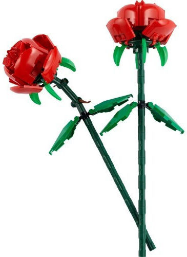 LEGO Τουβλάκια 40460 - Image 2