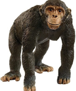 Schleich-S Παιχνίδι Μινιατούρα 14883