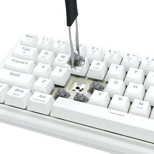 Redragon Draconic V2 K730GB-RGB-PRO Ασύρματο Gaming Πληκτρολόγιο 60% με RGB φωτισμό (International English) Λευκό - Image 3