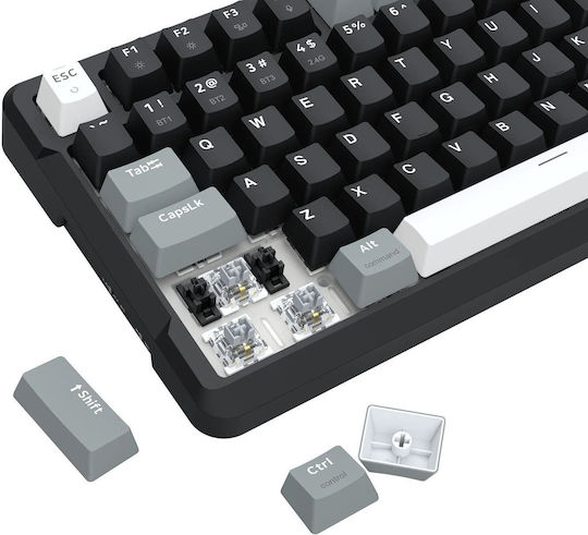 Redragon K742 Ασύρματο Gaming Μηχανικό Πληκτρολόγιο 98% με Custom Linear διακόπτες και RGB φωτισμό (International English) Creamy - Image 4