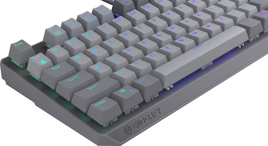 Endorfy Thock V2 Gaming Πληκτρολόγιο Tenkeyless με RGB φωτισμό (Αγγλικό US) - Image 12