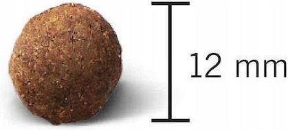 John Dog 12kg Ξηρά Τροφή για Ενήλικους Σκύλους με Αρνί - Image 3